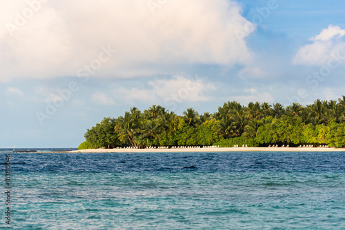 View of a tropical island with coconut palms on a sandy beach  Maldives  Indian ocean. Copy space for text.