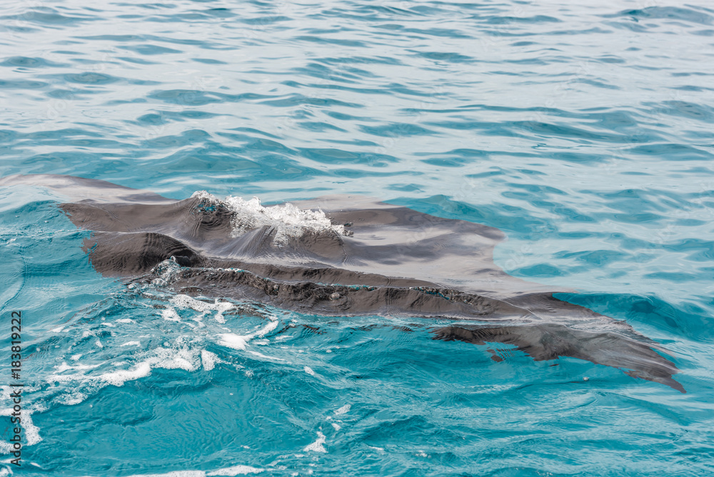 Naklejka premium Ramp on the surface of water, Male, Republic of Maldives. Close-up.