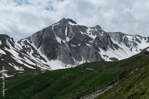 Beautiful green valley with covered snow mountain peaks in the Swiss Alps © yashka7