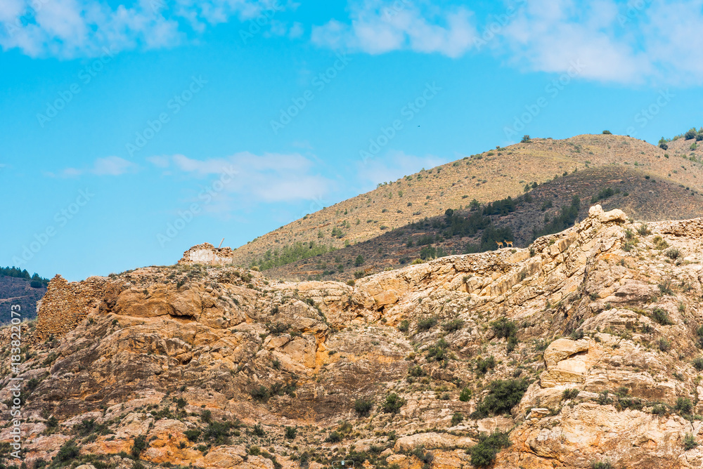 View of the mountain landscape of the province Guadalajara, Spain. Copy space for text.