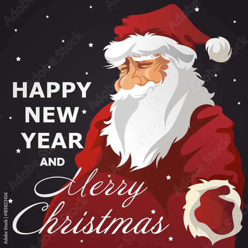 portrait of Santa Claus. Christmas. vector illustration