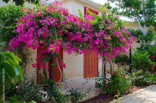 Cyprus, travel, buildings, architecture, flowers, island, sea, landscape, shore, object, outside, travel, summer