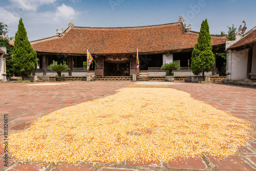 Drying corn in front of old house in Ninh Binh photo