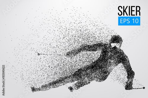 Silhouette of skier isolated. Vector illustration
