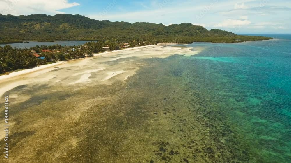 Aerial view of tropical beach on the island Bohol, Anda area, Philippines. Beautiful tropical island with sand beach, palm trees. Tropical landscape: beach with palm trees. Seascape: Ocean, sky, sea Aerial view of tropical beach on the island Bohol, Anda area, Philippines. Beautiful tropical island with sand beach, palm trees. Tropical landscape: beach with palm trees. Seascape: Ocean, sky, sea