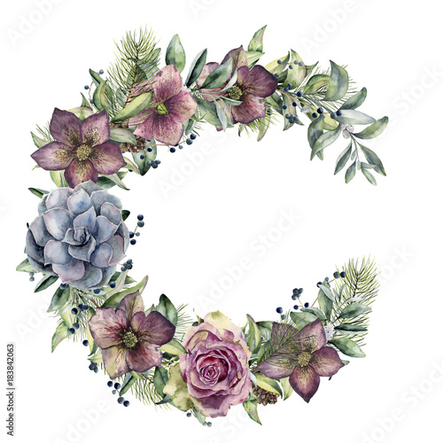 Watercolor floral wreath with hellebore flowers and rose. Hand painted snowberry, fir branch and leaves, berry, succulent isolated on white background. Winter floral bouquet for design. Holiday print