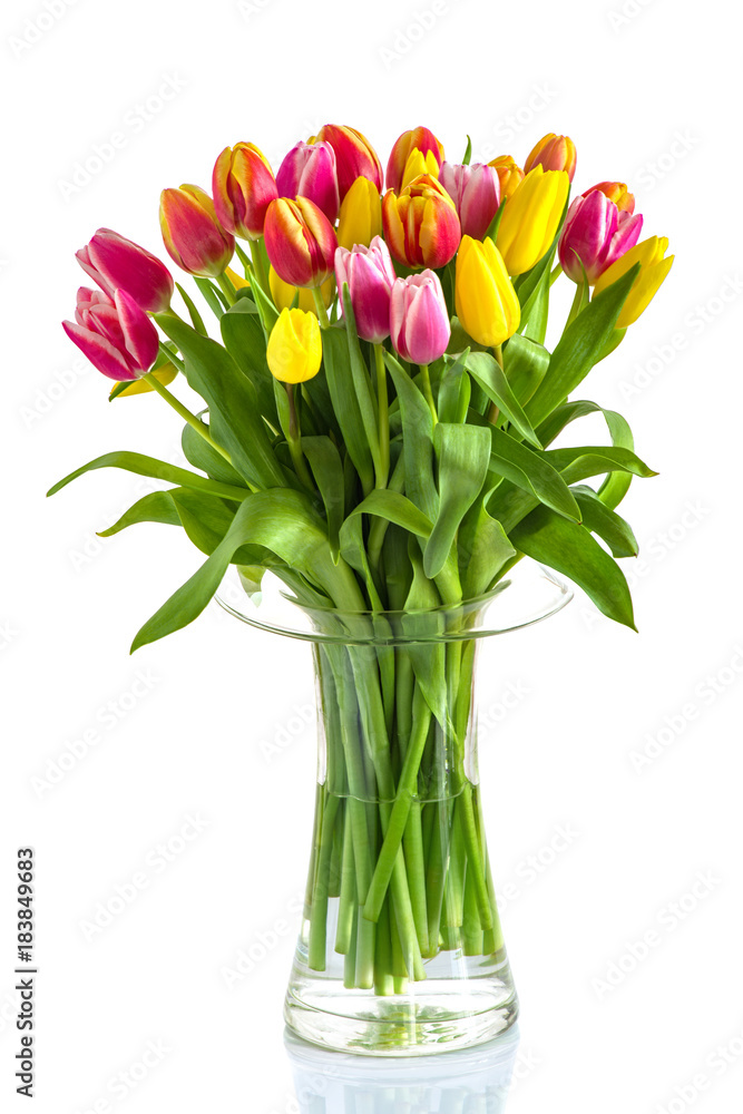 Bunte Tulpen in der Vase, isoliert Stock Photo | Adobe Stock