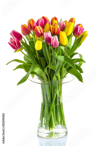 Fototapeta Naklejka Na Ścianę i Meble -  Tulpe bunt in der Vase. Strauß, Blumen viel im Frühling, Blumenstrauß in der Vase isoliert