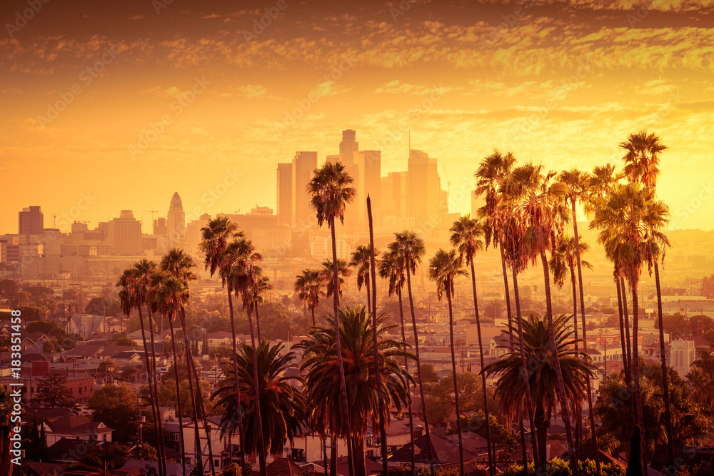 Obraz premium Piękny zachód słońca panoramę centrum Los Angeles i palmy na pierwszym planie