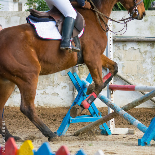 Horizontal View Of A Brown Horse Jumping The Obstacle