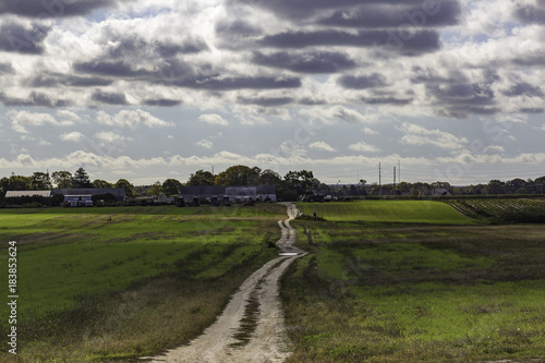 Dirt Road on the Farm in New York