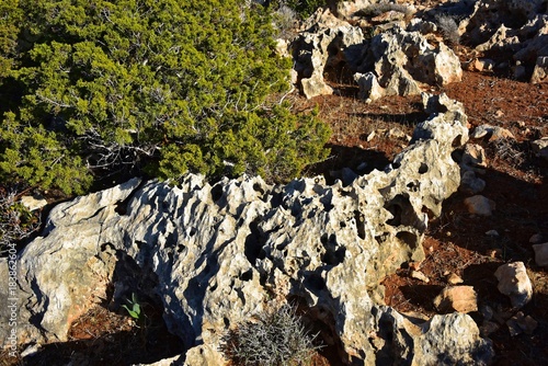 Zypern - Felsformation auf der Akamas Halbinsel photo