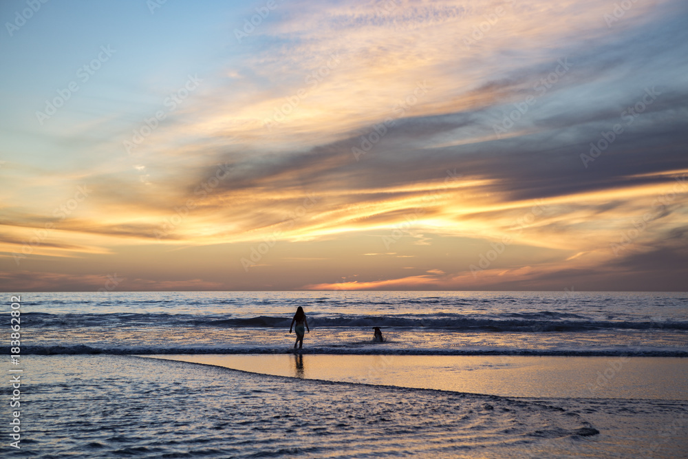 Naklejka premium Playing with Dogs in Ocean at Sunset in Del Mar, California