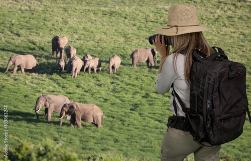 Lady Tourist with Binoculars on Safari Looking at Elephants