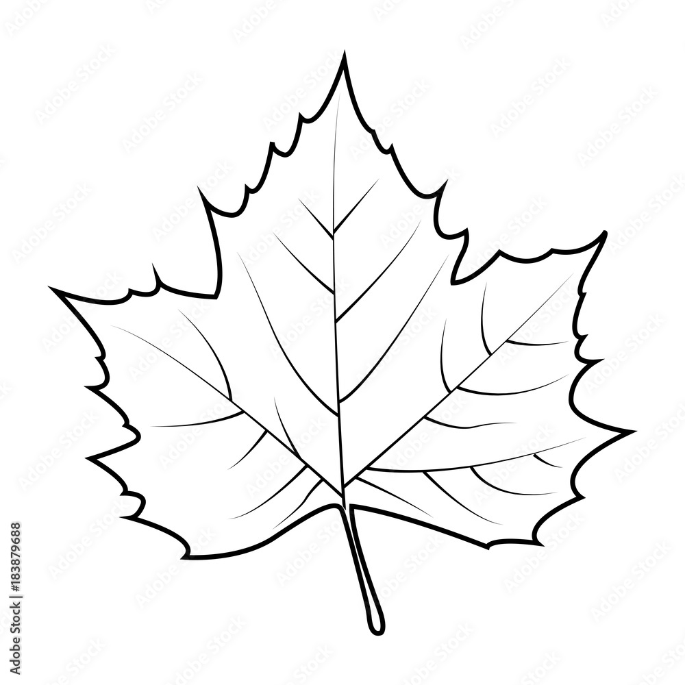 Fototapeta premium thanksgiving outline object