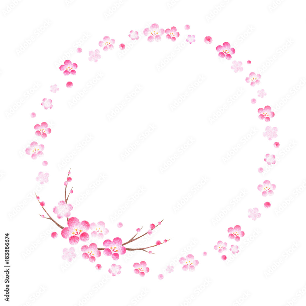 梅 リース 梅 リース