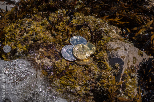 Silver And Gold Bitcoins Shinning In Sun With Water Droplets 