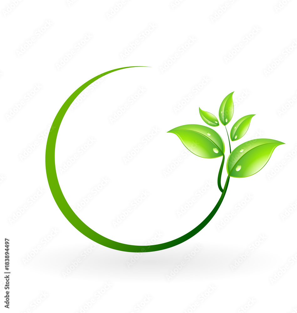 Healthy leafs identity card icon vector illustration Healthy leafs identity card icon vector illustration