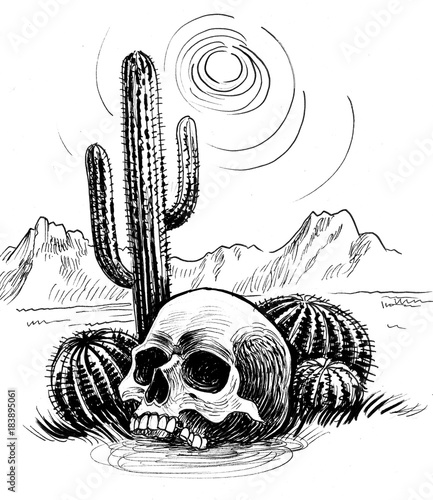 Human skull in the desert near cactus. Black and white ink illustratrion photo