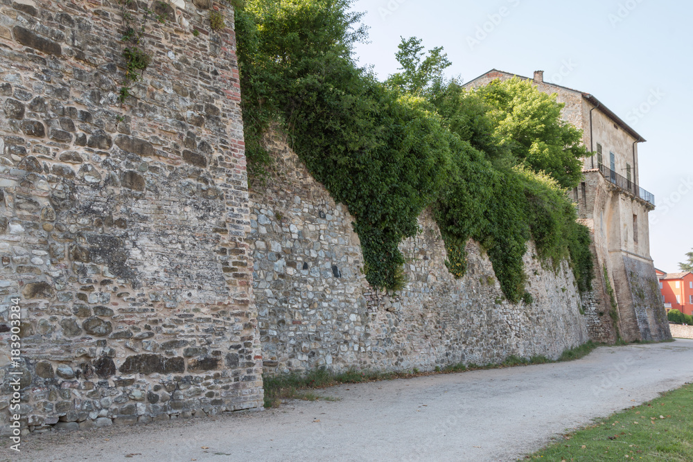 Antique Medieval Wall with Climbing Plants and House in Italy Street