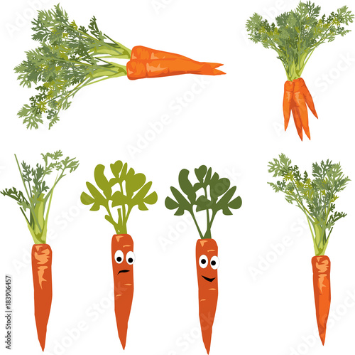 carrot with a face