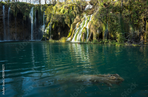 Waterfalls and funny log in the emerald water of Plitvice lake, Croatia