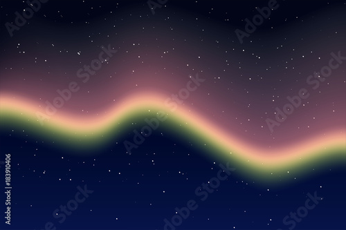 northern lights in the background of the starry sky