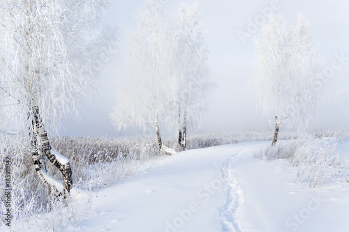 winter mood in the park © Андрей Векшегонов