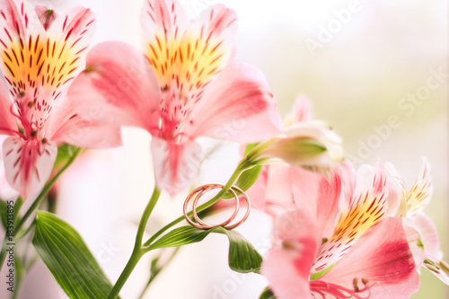 Image of flowers and wedding rings on a gentle background of a bright background. wedding flowers, wedding rings