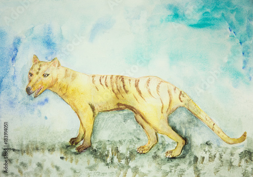 Tasmanian tiger. The dabbing technique near the edges gives a soft focus effect due to the altered surface roughness of the paper. © Vermeulen-Perdaen