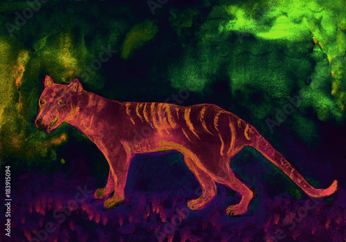 Tasmanian tiger in aurora australis. The dabbing technique near the edges gives a soft focus effect due to the altered surface roughness of the paper.