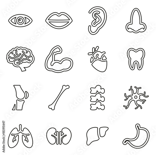 Human Anatomy or Human Body Parts Icons Thin Line Vector Illustration Set