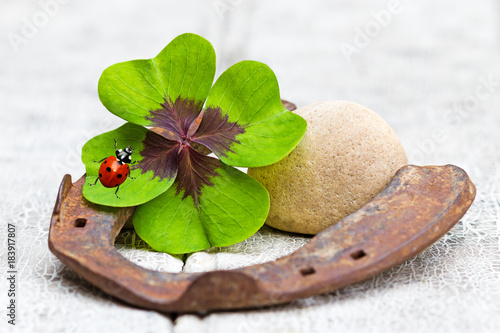 Kartenmotiv mit Glücksbringer