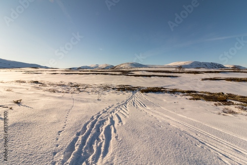Ski tracks in mountain landscape Norway national park Dovre