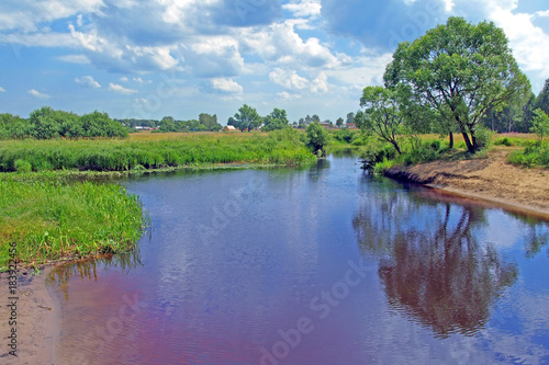 Russia. Summer landscape on the river