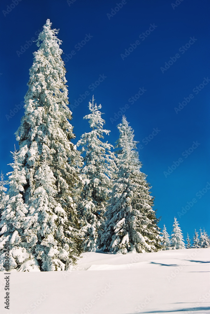 Winter landscape in the mountains Winter landscape in the mountains