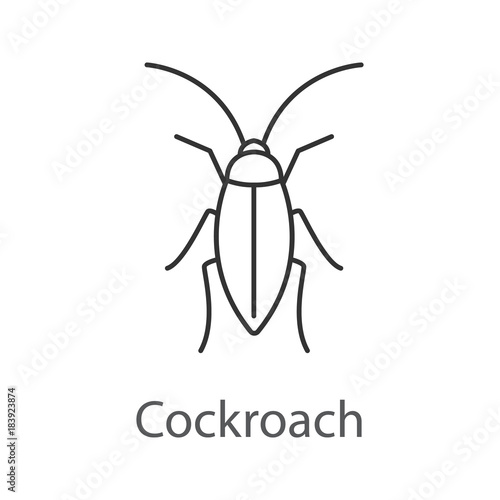 Cockroach linear icon