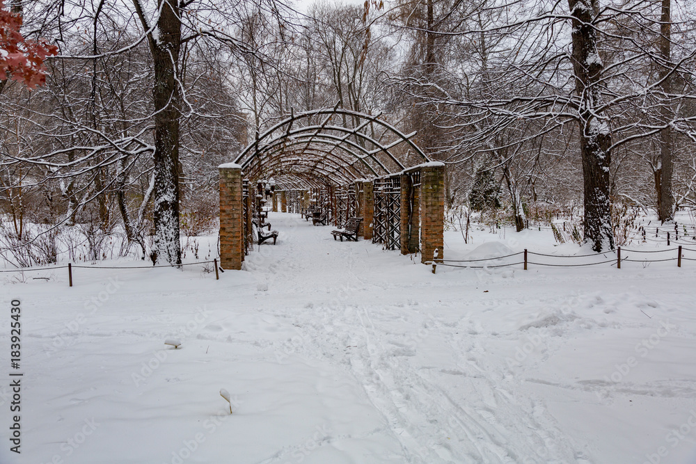Snowbound deserted city park in the cold winter
Snowbound deserted city park in the cold winter