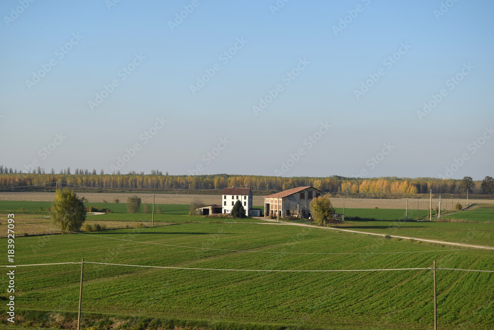 An agricultural farm along the banks of the Po river in the Po Valley - Mantua - Italy 04