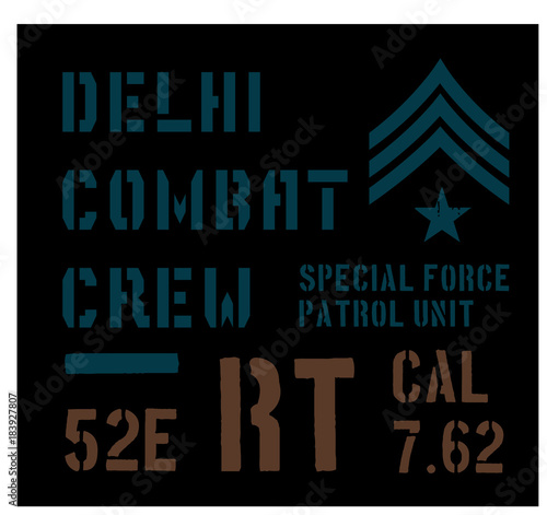 Delhi military plate, realistic looking military typography for t-shirt, poster, print. photo