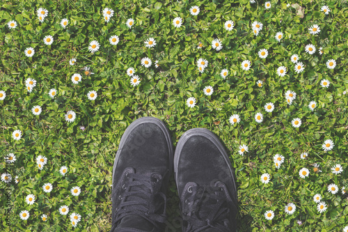 buty na trawie wiosna lato z kwiaty photo