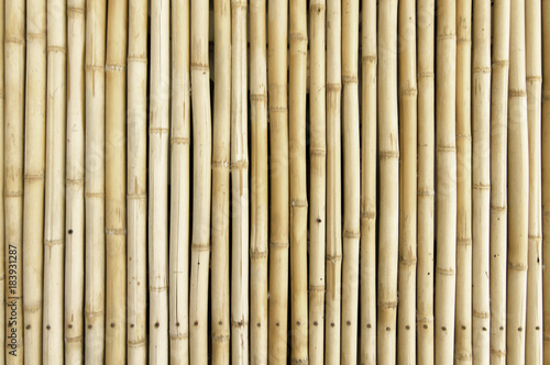 Fototapeta Naklejka Na Ścianę i Meble -  Bamboo fence Background