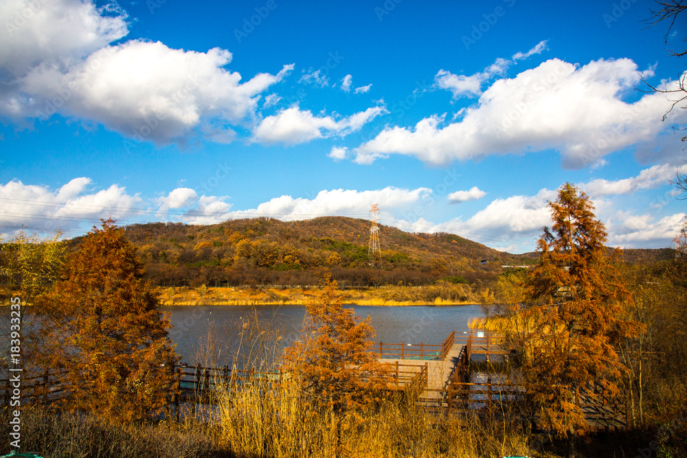 Fototapeta premium 호수와가을 하늘