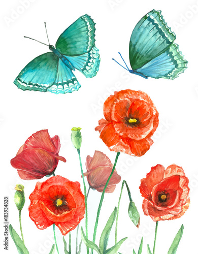 Watercolor set of red poppies and blue butterflies.