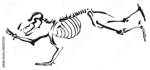 squelette d'un ours courant en noir et blanc