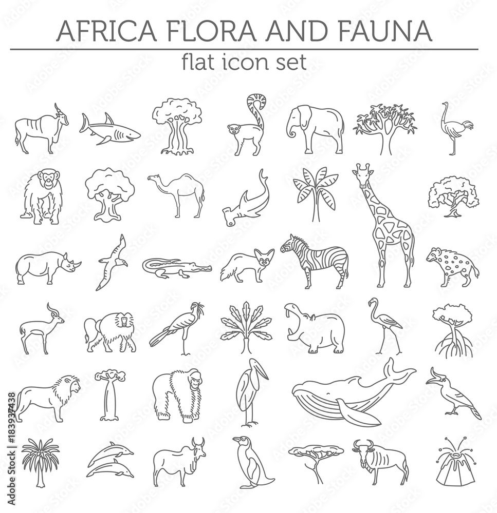 Fototapeta premium Flat African flora and fauna elements. Animals, birds and sea life simple line icon set