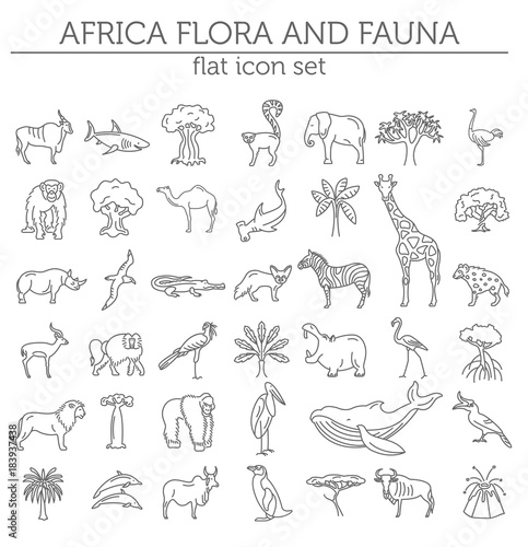 Fototapeta Naklejka Na Ścianę i Meble -  Flat African flora and fauna  elements. Animals, birds and sea life simple line icon set