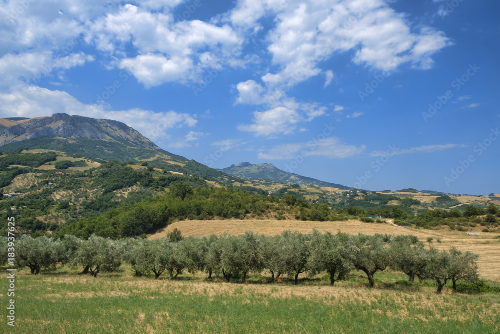 Summer landscape in Abruzzi near Brittoli Summer landscape in Abruzzi near Brittoli