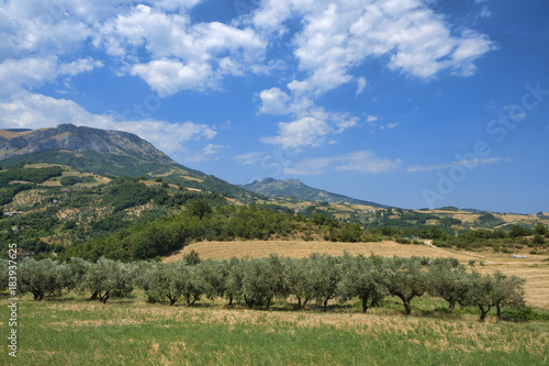 Summer landscape in Abruzzi near Brittoli