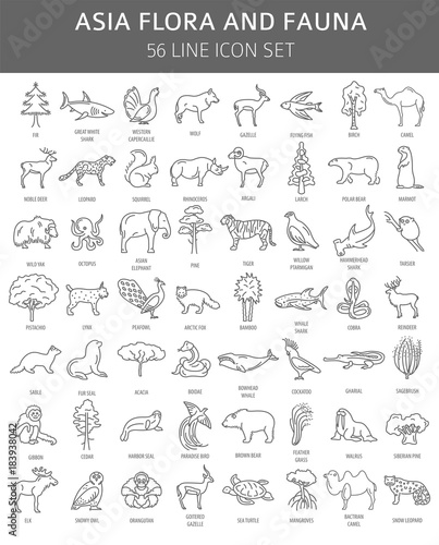 Flat Asian flora and fauna  elements. Animals, birds and sea life simple line icon set